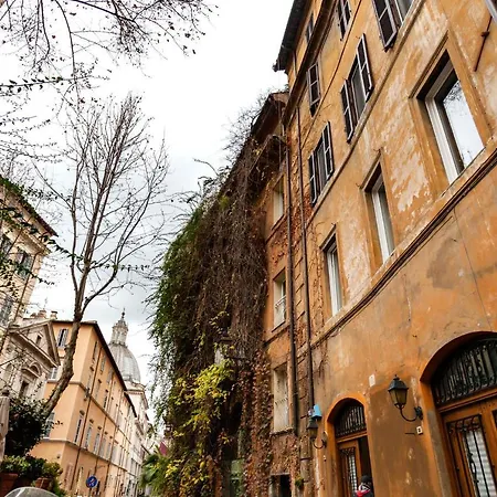 Navona Artist 8 Lägenhet